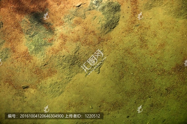 河流紋理底部；橙色和綠色背景