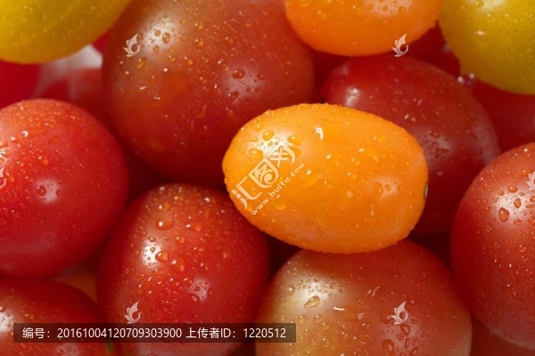 小櫻桃多變多色番茄