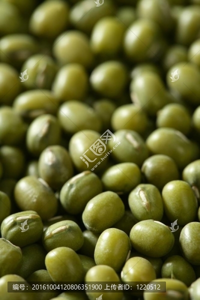 綠色大豆質(zhì)地