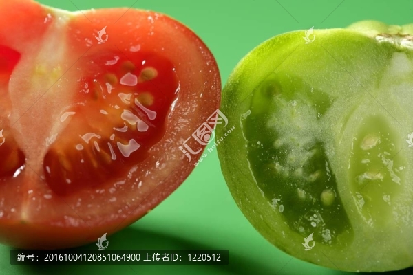 雙色番茄；綠紅品種