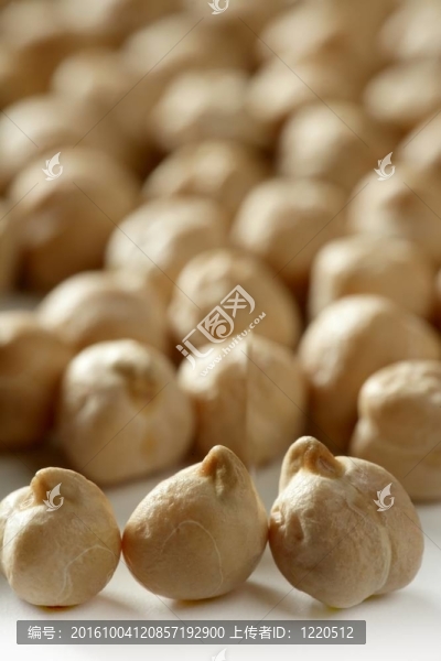 鷹嘴豆的紋理在工作室