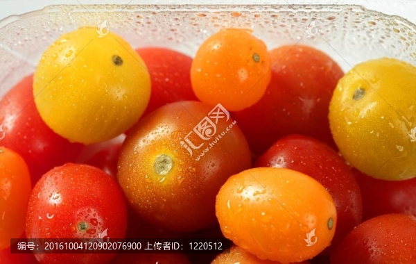 小櫻桃多變多色番茄