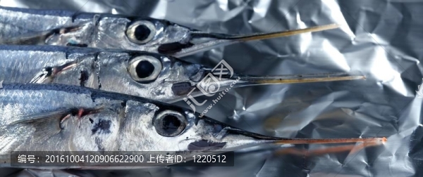 三針魚；生宏工作室拍攝
