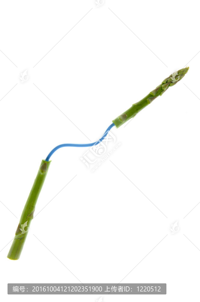 基因工程食品；蔬菜調(diào)查