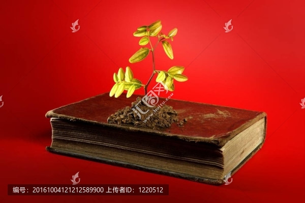 植物生長從舊的書