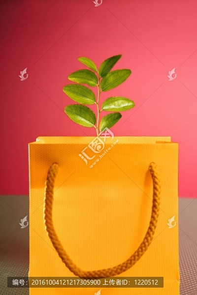 環(huán)境保護(hù)與消費(fèi)主義