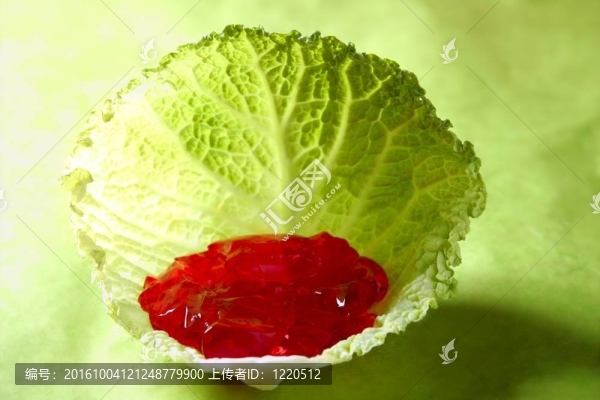 生長(zhǎng)在白菜葉