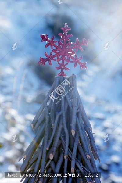 下雪天的圣誕紅星