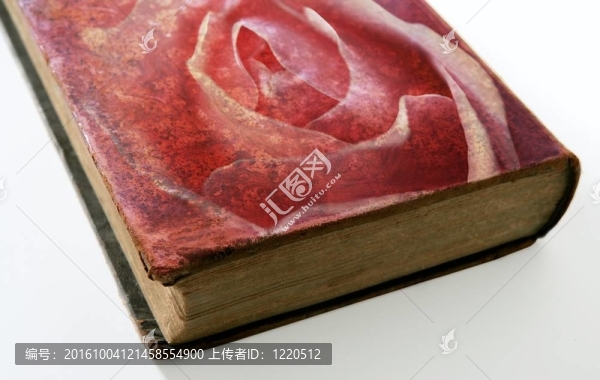 印在一本舊書封面上的玫瑰