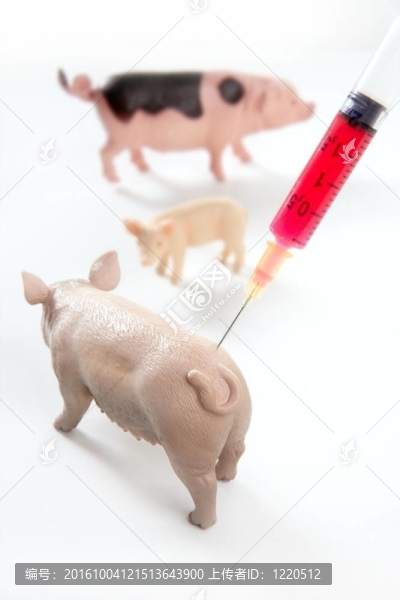 豬流感H1N1疫苗的隱喻