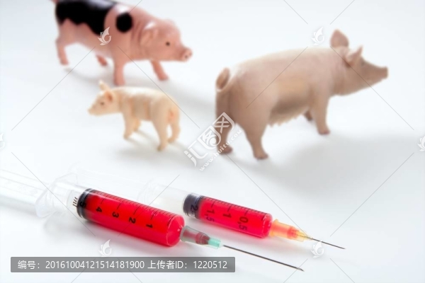 豬流感H1N1疫苗的隱喻