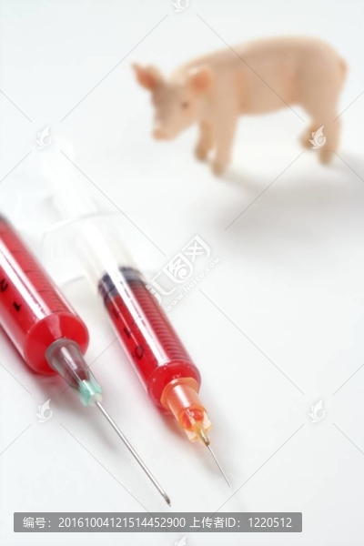 豬流感H1N1疫苗的隱喻