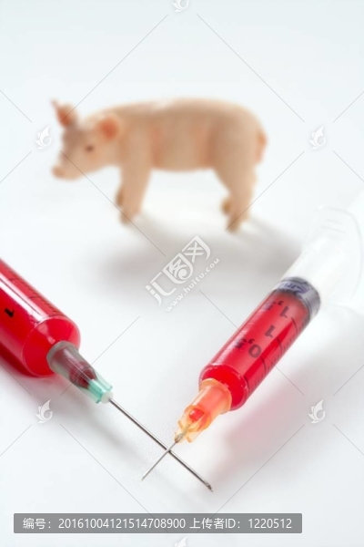 豬流感H1N1疫苗的隱喻