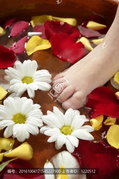 芳香療法；花玫瑰的花瓣浴足；