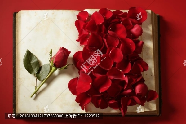 老年書上的玫瑰花瓣