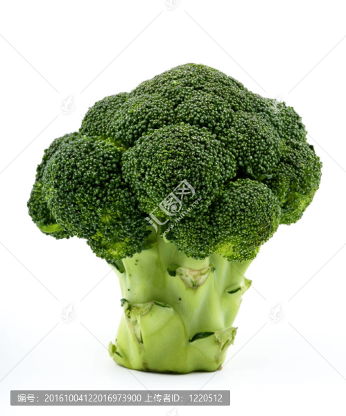 垂直西蘭花