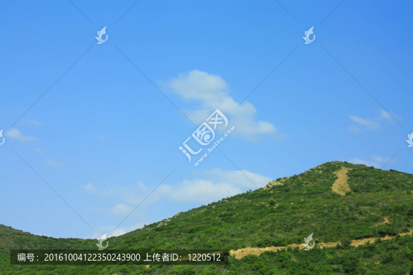 山