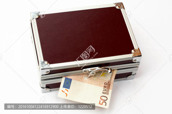 褐色調(diào)的金屬公文包五十歐元；分離