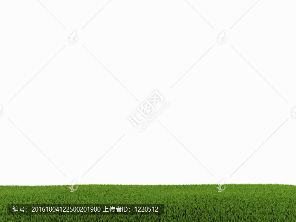 白色背景下的綠草