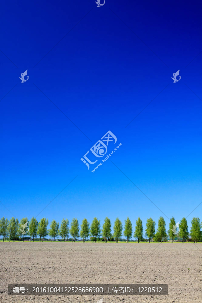 農(nóng)村的樹木；地面和天空
