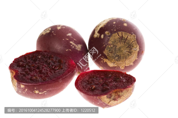 仙人掌（Opuntia,ficus-indica）紅色水果