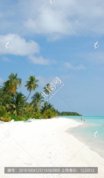 棕櫚樹海灘天堂