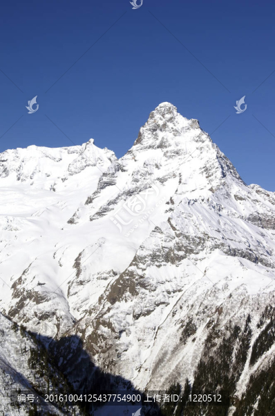 山