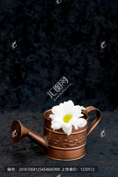 澆花用黑色背景澆水