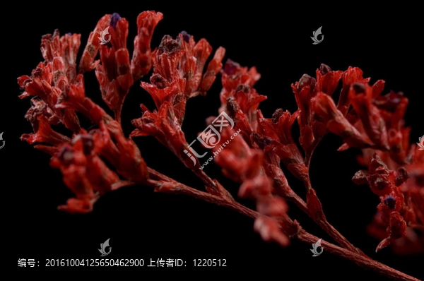 紅色花束