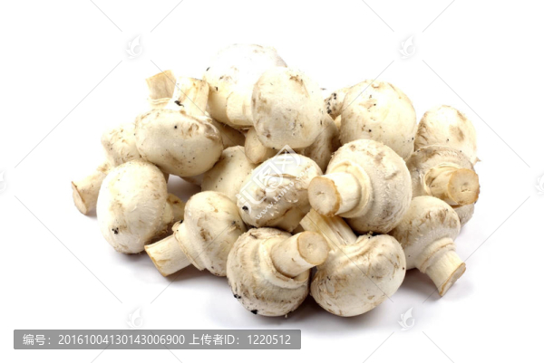 白色背景上有陰影的食用菌堆。