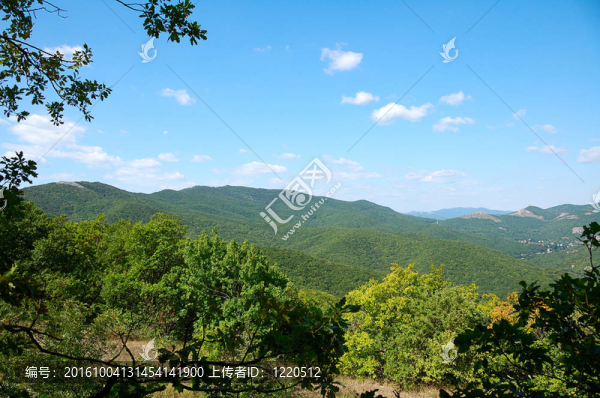 山
