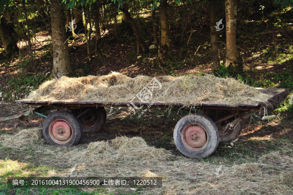 干草車
