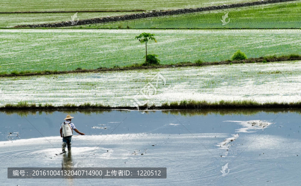 農(nóng)民噴灑農(nóng)藥
