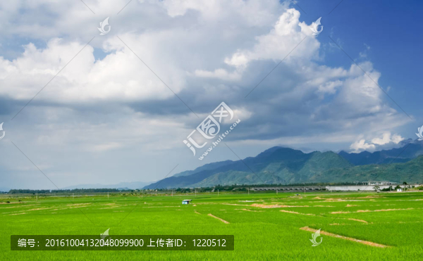 梯田景觀