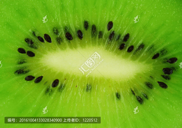獼猴桃的背景