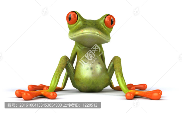 有趣的青蛙