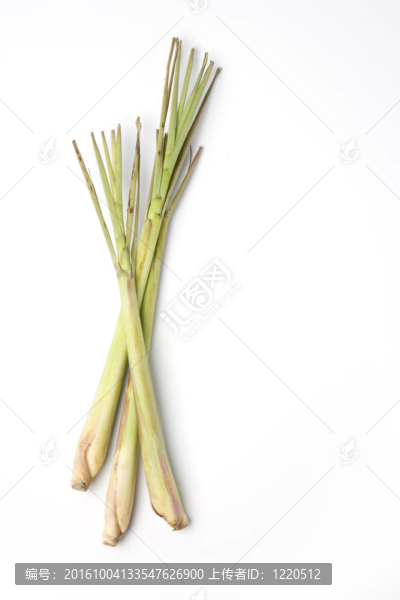 白色背景上的新鮮檸檬草三片