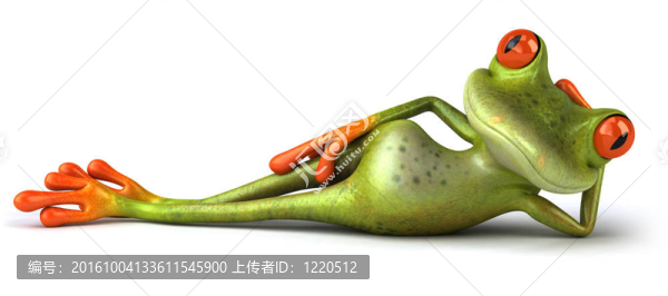 有趣的青蛙