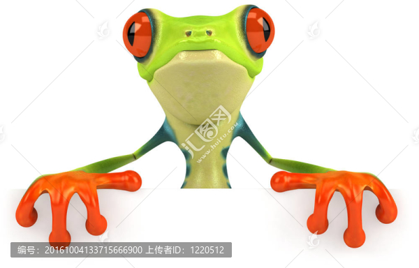 有趣的青蛙