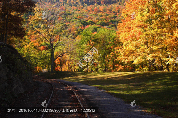秋天的RR跟蹤場(chǎng)景
