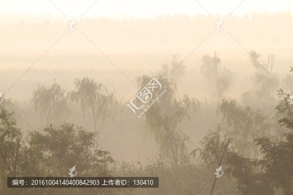 晨霧,濕地霧景