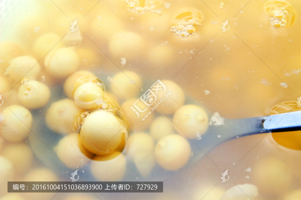 雞頭米