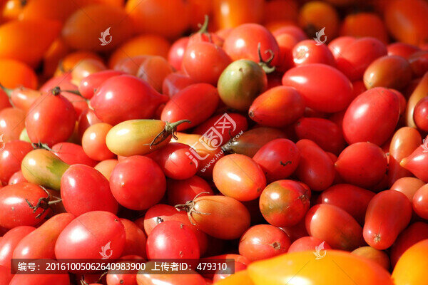 西紅柿