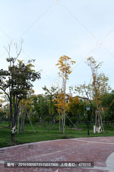 大慶建筑,創(chuàng)業(yè)城