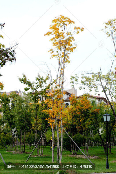 大慶建筑,創(chuàng)業(yè)城,樓房,小區(qū)