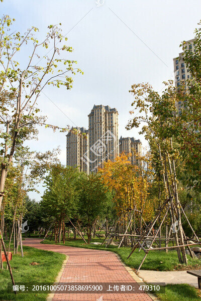 大慶建筑,創(chuàng)業(yè)城,樓房,小區(qū)