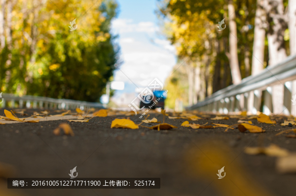 秋葉