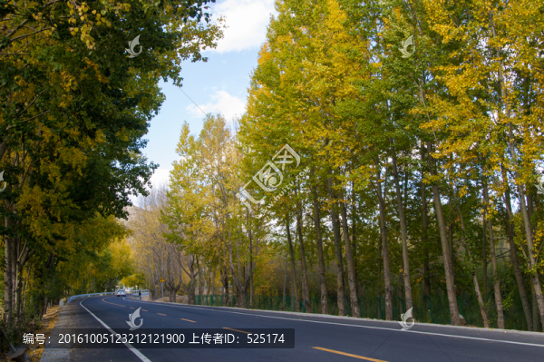 在路上