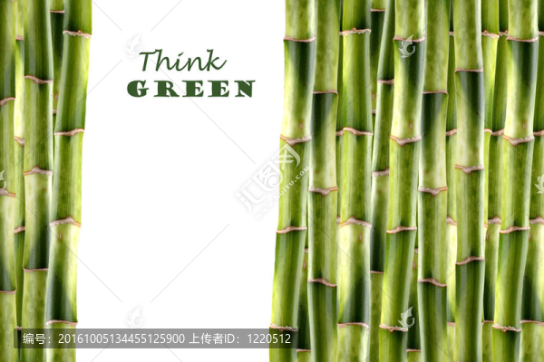 竹筍
