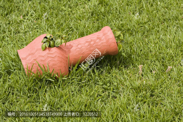在草地上